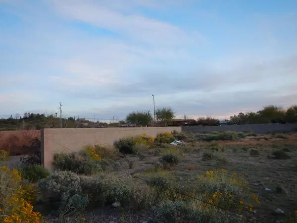 Peoria, AZ 85383,9495 W FREEDOM Trail #-