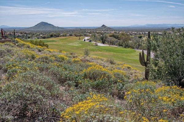 Fountain Hills, AZ 85268,9807 N Desert Rose Drive