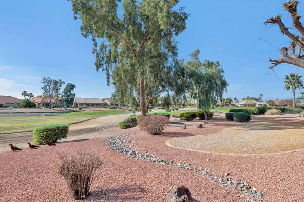 15805 W HURON Drive, Sun City West, AZ 85375