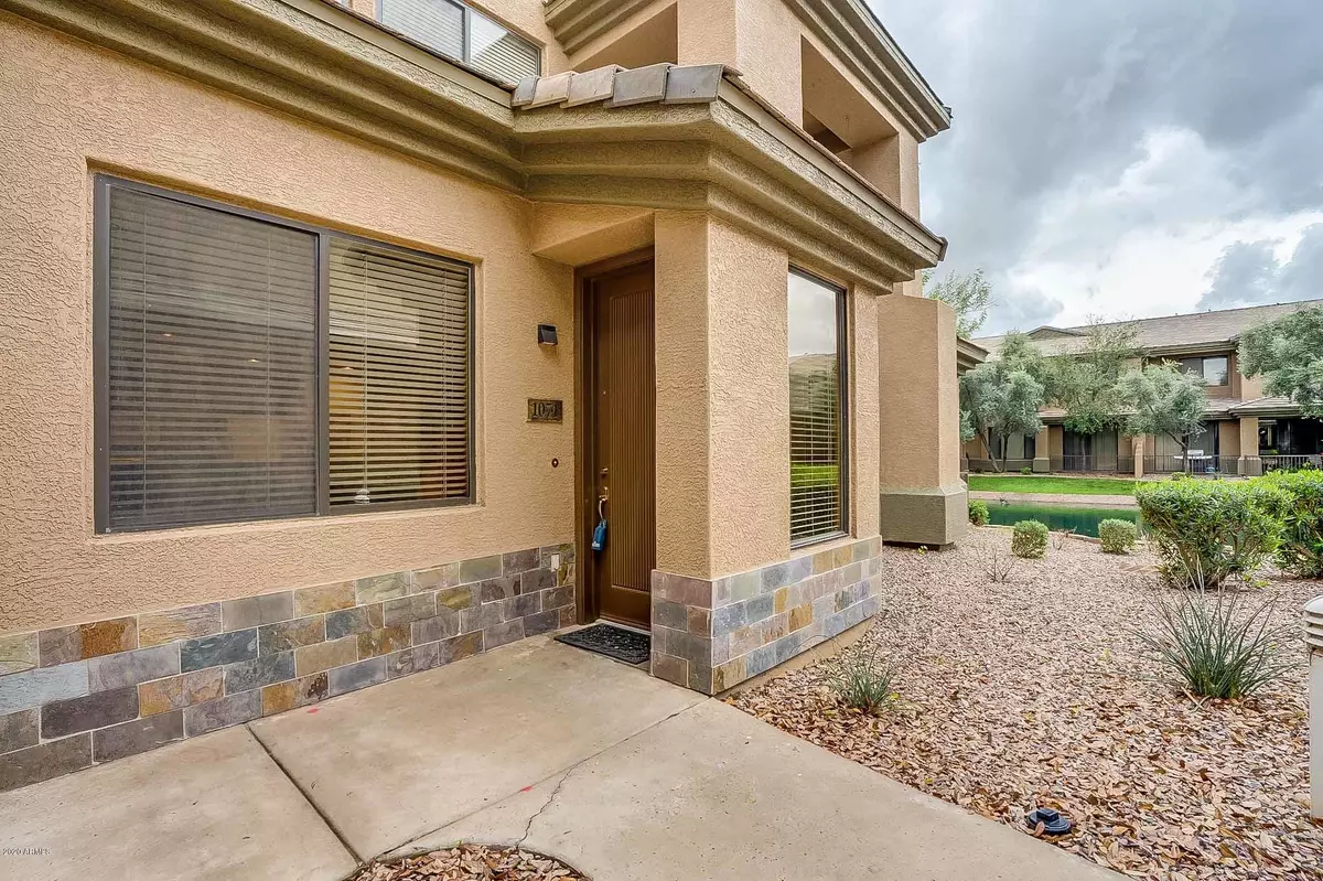 Chandler, AZ 85248,705 W QUEEN CREEK Road #1071