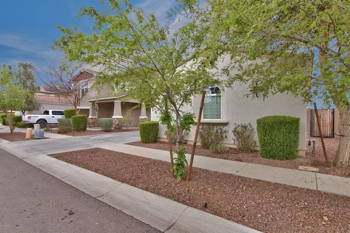 Phoenix, AZ 85042,848 E CONSTANCE Way