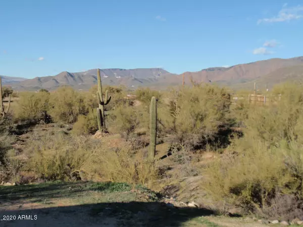 Cave Creek, AZ 85331,65 E Skyline Drive #-