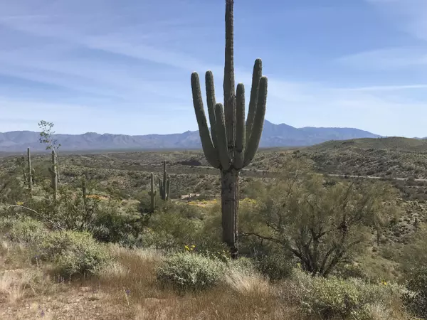 13871 N WHITE FACE CANYON Canyon #8, Fort Mcdowell, AZ 85264