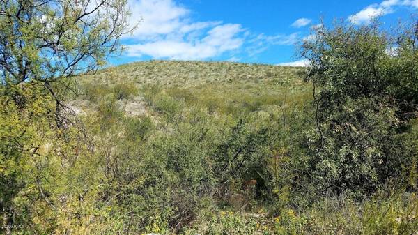 Bisbee, AZ 85603,9 W Red Mountain Road #Lot 9