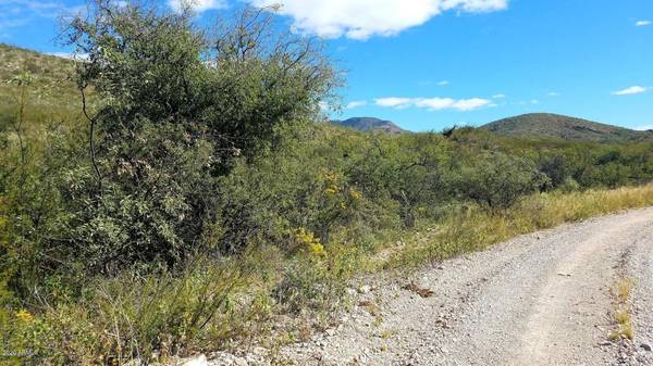 Bisbee, AZ 85603,9 W Red Mountain Road #Lot 9