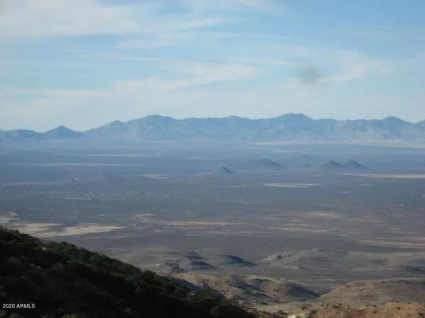 Bisbee, AZ 85603,1924 N Juniper Flats Road #110-30-009h