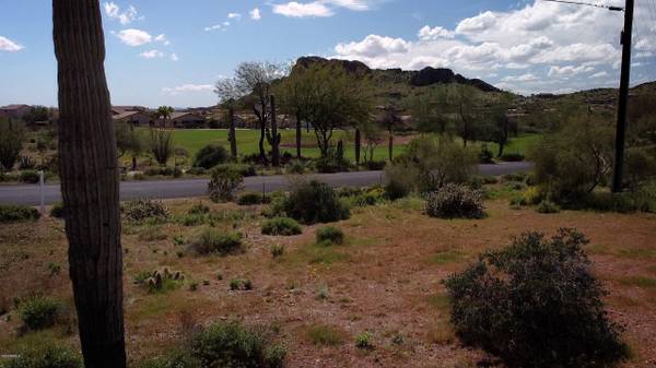 Gold Canyon, AZ 85118,10264 E BASELINE Avenue #-