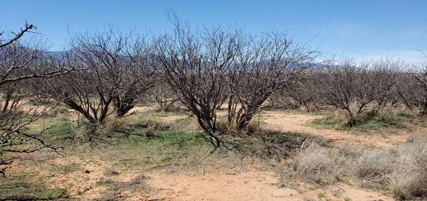 S Calle Eldorado -- #21, Sierra Vista, AZ 85650