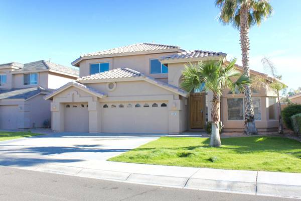 Chandler, AZ 85248,681 W HACKBERRY Drive