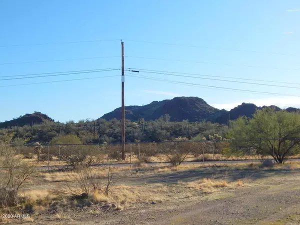 Queen Valley, AZ 85118,2006 W Running Deer Road