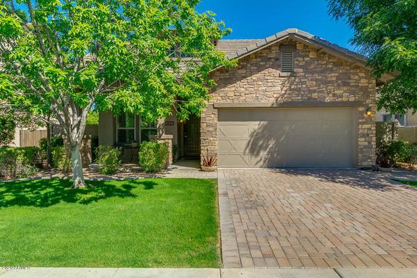 Gilbert, AZ 85296,3492 E MESQUITE Street