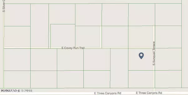 Hereford, AZ 85615,E Covey Run Trail #19