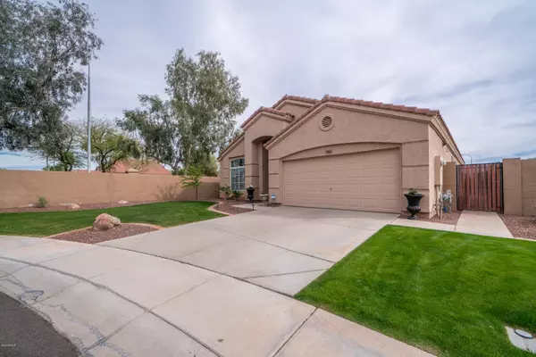 Chandler, AZ 85248,807 W CAROB Drive