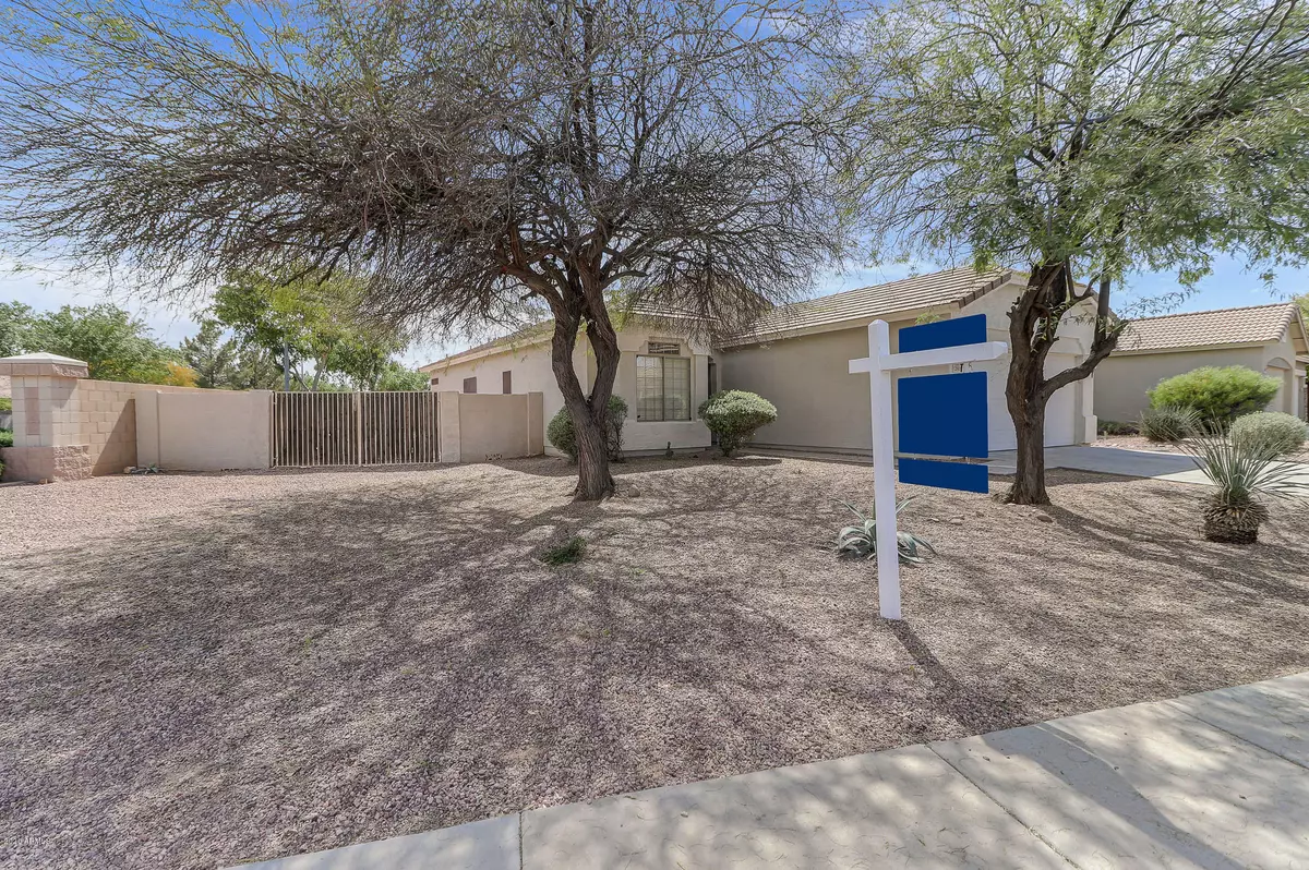 El Mirage, AZ 85335,12909 W CORRINE Drive