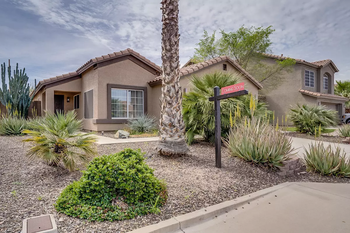 Chandler, AZ 85224,1433 W Kesler Lane