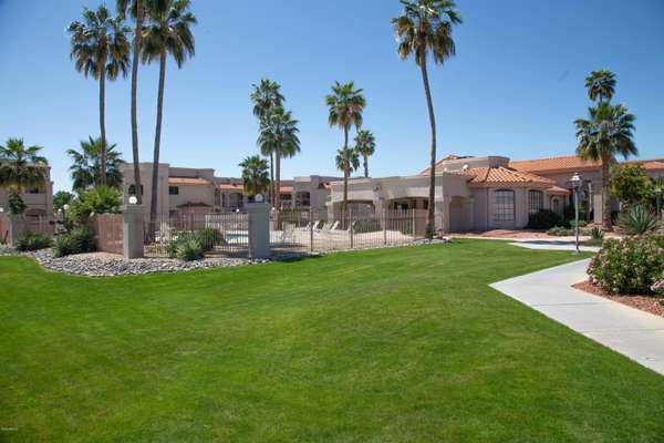 Peoria, AZ 85381,9151 W GREENWAY Road #132