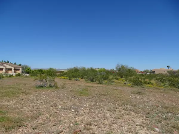 Wittmann, AZ 85361,0 W Caravaggio Lane #-