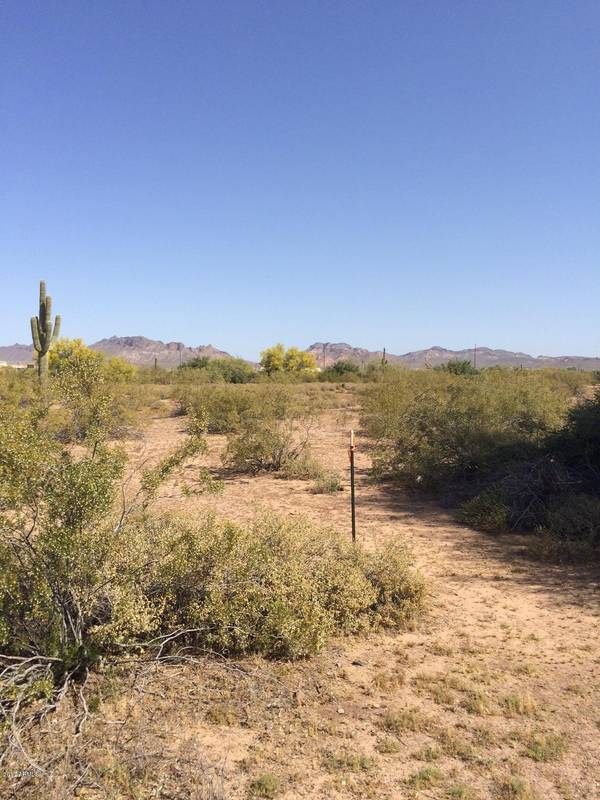 Apache Junction, AZ 85119,0 E Scenic Street #1