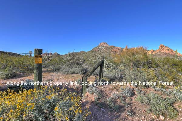 Apache Junction, AZ 85120,0 N Idaho Road #'''-'''