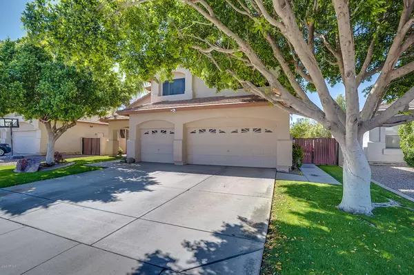 Gilbert, AZ 85234,3639 E SAN PEDRO Avenue