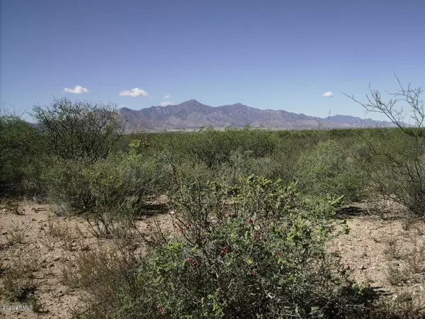 Hereford, AZ 85615,10484004 Calle Venado -- #29