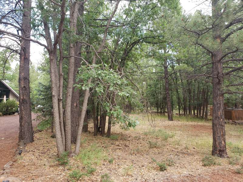 3954 BRIDLE PATH Loop #413, Pinetop, AZ 85935