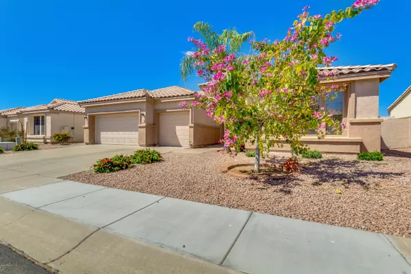 Chandler, AZ 85286,1818 W HAWK Way