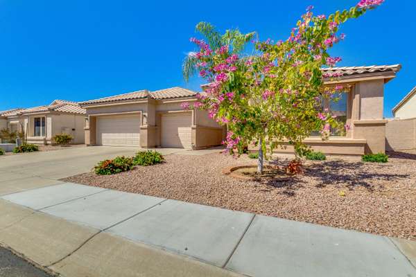 Chandler, AZ 85286,1818 W HAWK Way