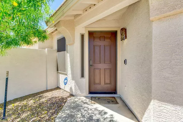 Mesa, AZ 85208,664 S 110TH Place