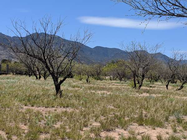 Hereford, AZ 85615,S JAXEL Road #_