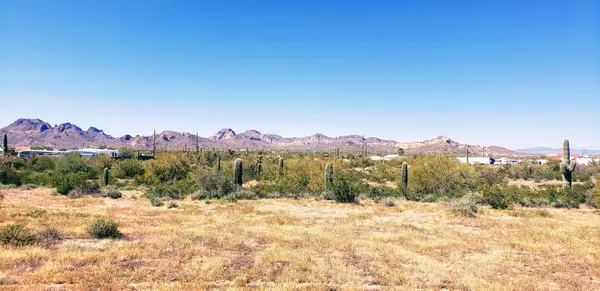 Apache Junction, AZ 85119,20 E Foothills Street