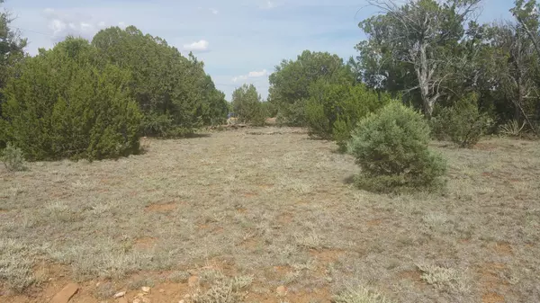 Overgaard, AZ 85933,3691 GREEN FOREST Drive #57