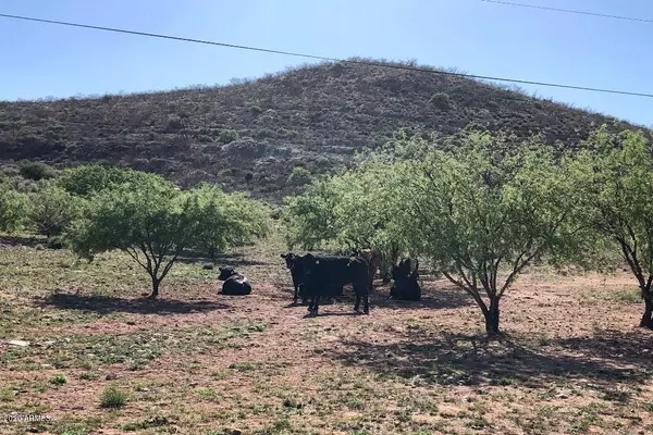 Tombstone, AZ 85638,0 W Main Chance Road #'''-'''