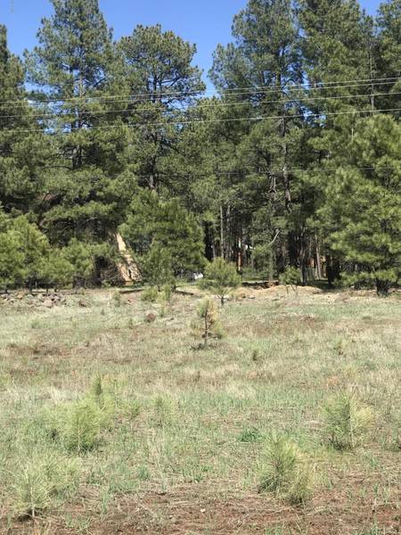 817 N SKYLANE Road #218, Pinetop, AZ 85935