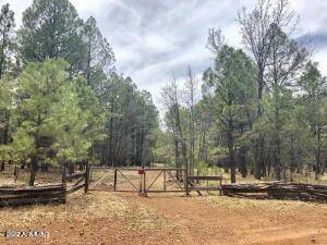 3904 Roaring Fork Drive #51, Pinetop, AZ 85935