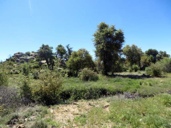 Yarnell, AZ 85362,0 W Metate Forest Trail #5