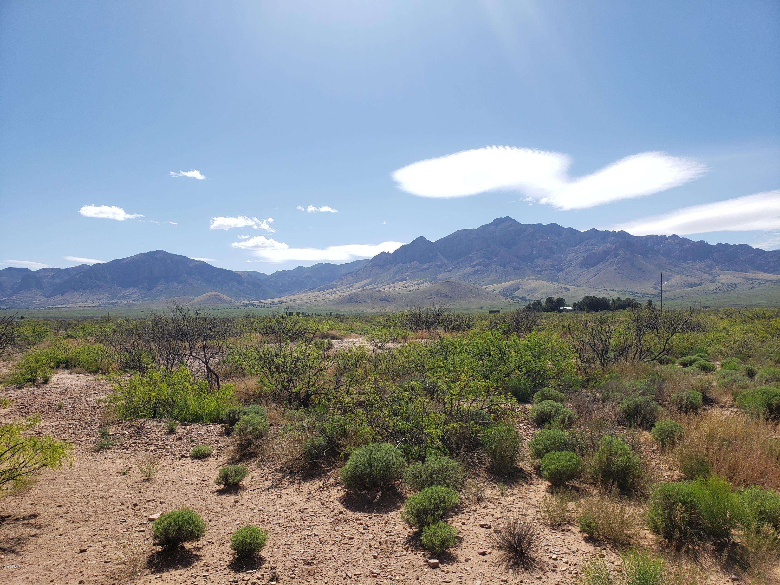 Portal, AZ 85632,Portal Road #172