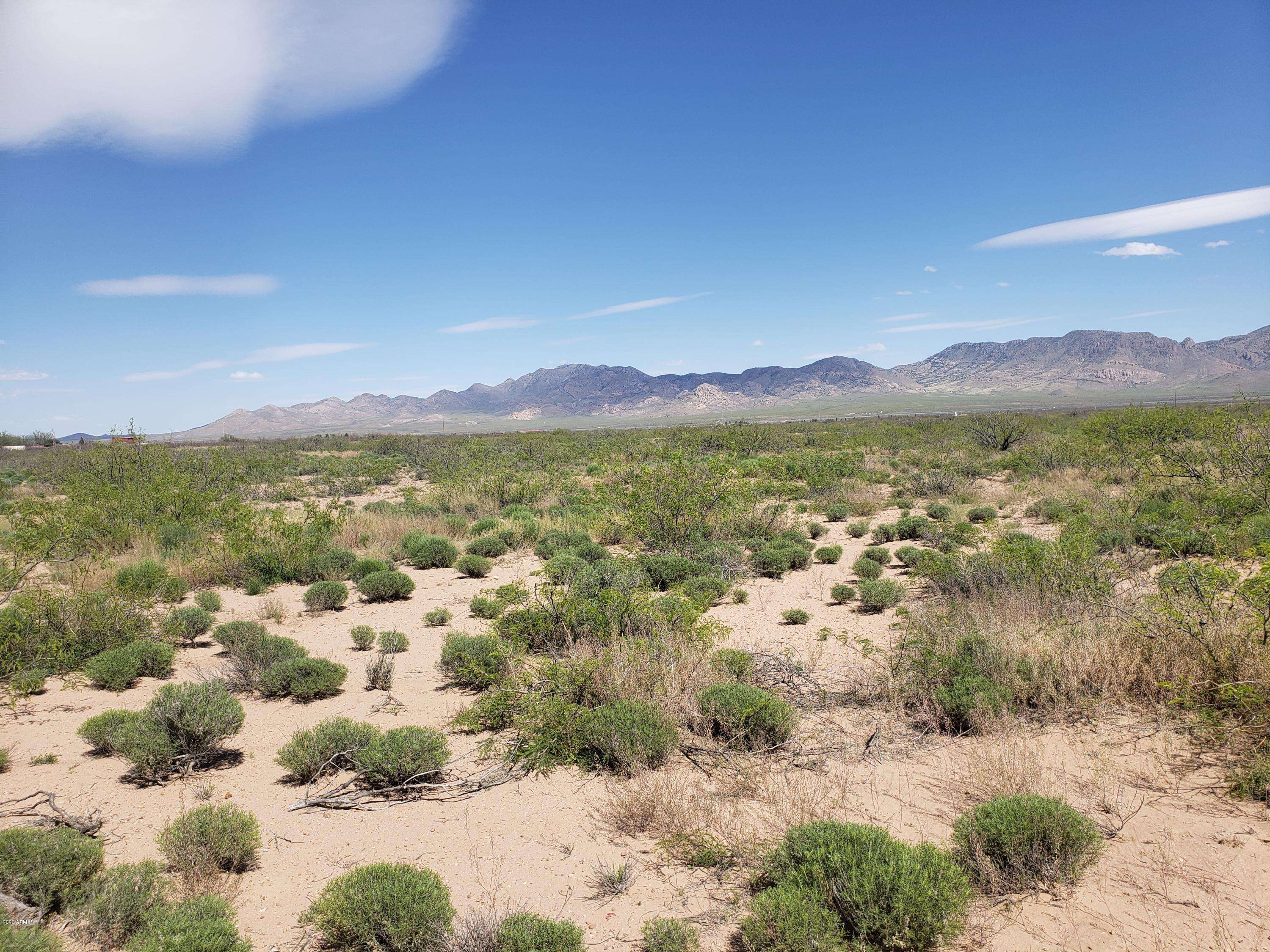 Portal, AZ 85632,Portal Road #172