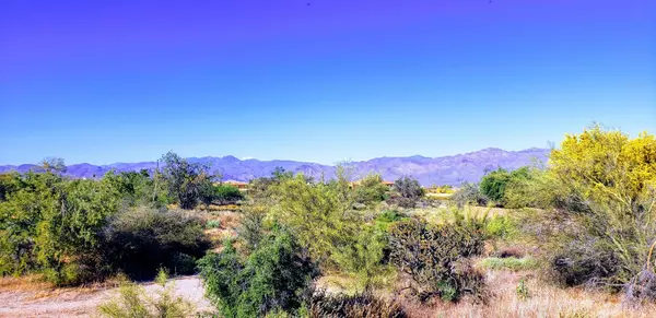 Rio Verde, AZ 85263,17124 E DESERT VISTA Trail #18