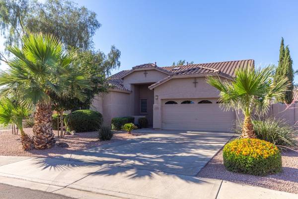 Gilbert, AZ 85234,3526 E CODY Avenue