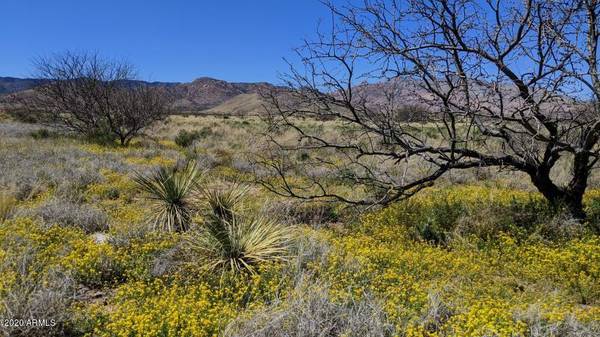 Pearce, AZ 85625,321 ACRE( 3 Lots) on Quinn Street #-