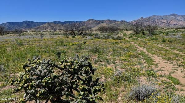 Pearce, AZ 85625,321 ACRE( 3 Lots) on Quinn Street #-