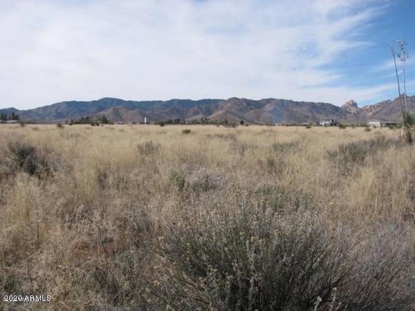 Pearce, AZ 85625,165 ACRE(2Lots)Knox&Hartford Road #-