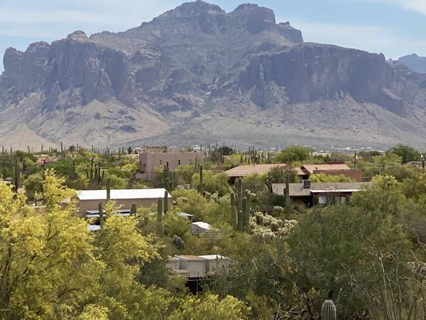 Apache Junction, AZ 85119,203 E SADDLE BUTTE Street