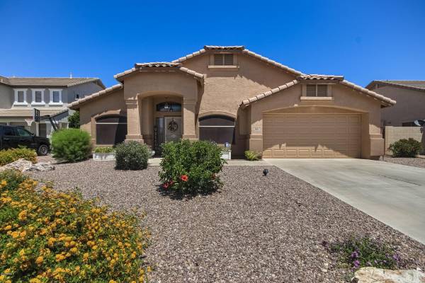 3852 E THORNTON Avenue, Gilbert, AZ 85297