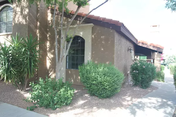 Paradise Valley, AZ 85253,6945 E COCHISE Road #113