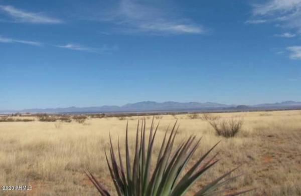 Pearce, AZ 85625,117 ACRE on Towner & Desert Road #-