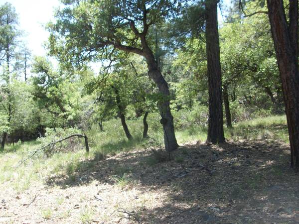 Pine, AZ 85544,74 NACO Drive #74