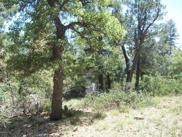 Pine, AZ 85544,74 NACO Drive #74