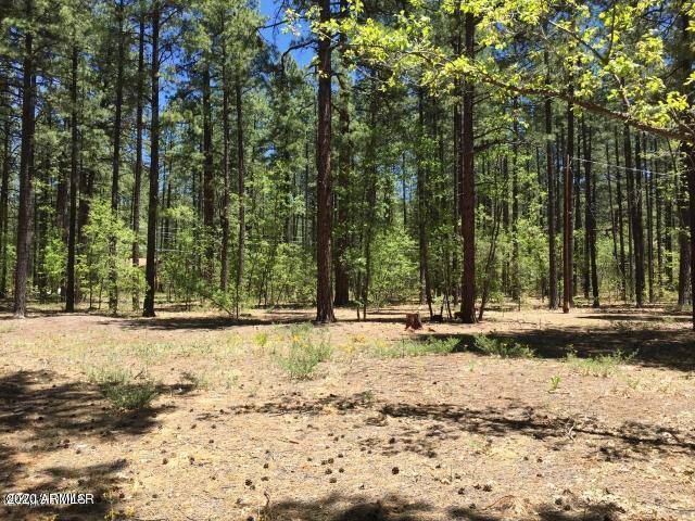 2983 Cedar Lane #89, Pinetop, AZ 85935